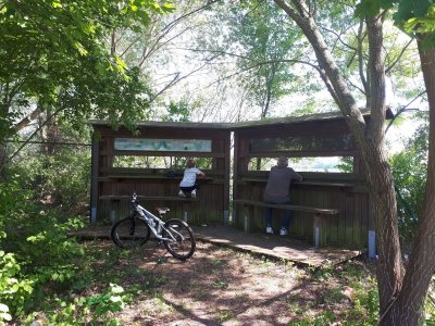 Observatoire à oiseaux