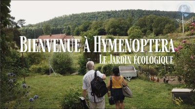 Hymenoptera, le jardin écologique