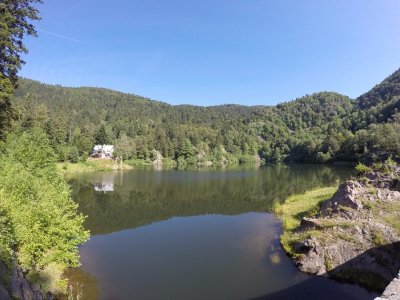 Lacs du Neuweiher