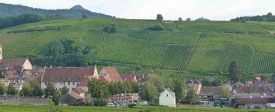Colline du "Schoenenbourg"