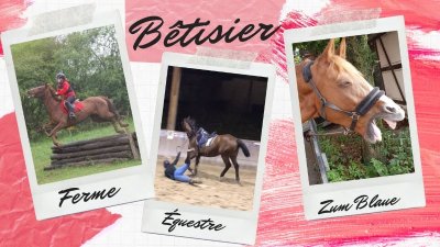 Ferme équestre Zum Blaue