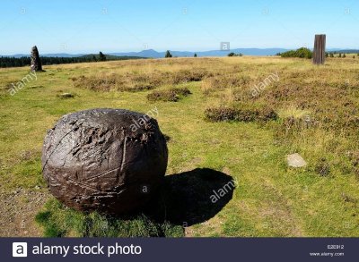 Le Champ du Feu de Daniel Pontoreau