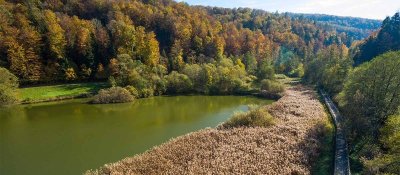 Réserve Naturelle du lac de Lucelle