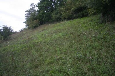 La réserve naturelle de Tagolsheim – Im Berg