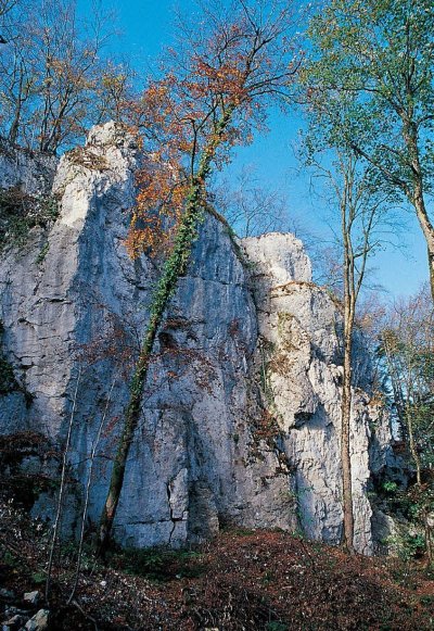 Site naturel d'escalade "Grotte des Nains"