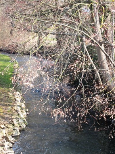 Pont sur le Steinbaechlein