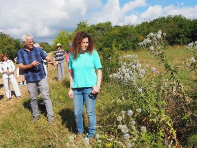 Colline du Bollenberg - Faune et flore