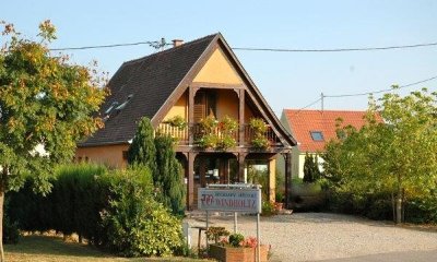 Jardin médiéval - thème : la vigne