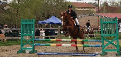 Ferme équestre des 4 Vents