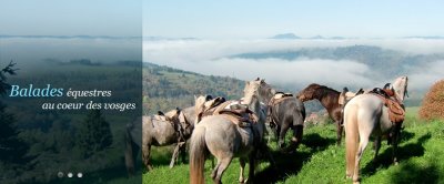 Ferme équestre du Chauffour