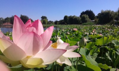 Parc de la Court d'Aron