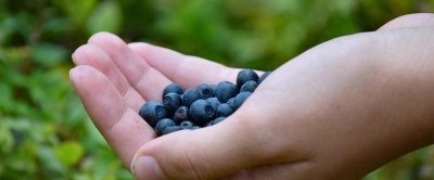 Circuit randonnée Autour des 2 Châteaux 5,5km