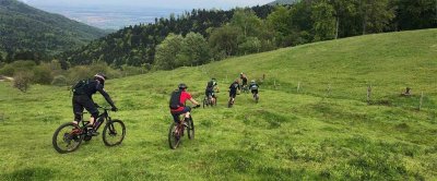 Circuit : la Roche Albert