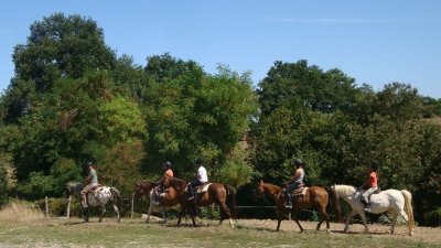 FERME ÉQUESTRE DE L'ÉTANG