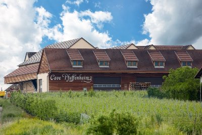 La promenade du Grand Cru Steinert