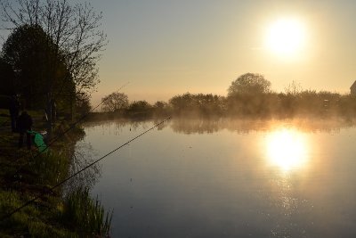Un brin de (micro) folie !