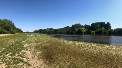 Dans le port de Saint-Léo, y'a des marins qui chantent !