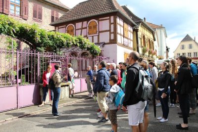 Circuit vélo - Entre villes, vignobles et forêt