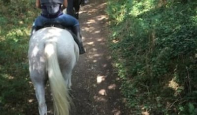 BALADE À CHEVAL - LE DOMAINE DES PIERRES JUMELLES