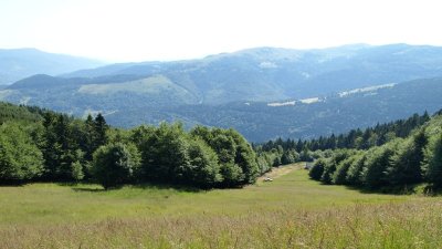 Parc aventures et multi activités Form'aventures
