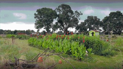 Jardin pédagogique "A Fleur de Terre"