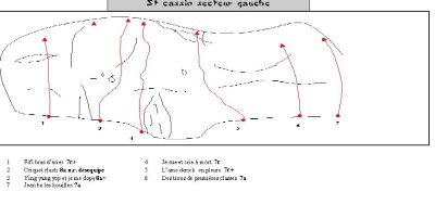 Site d'escalade de Saint-Cassin