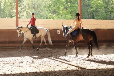 Le Poney club du Bréda