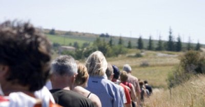 La roseraie et le Grand Cru Hatschbourg
