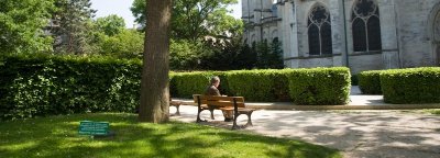 Jardin Pierre de Montreuil