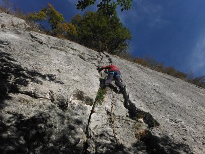 Site d'escalade La Falaise de Lierre