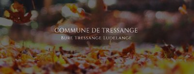 Bibliothèque municipale au fil des pages