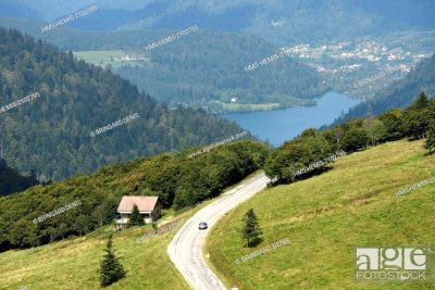 Crêtes des Vosges mosellanes