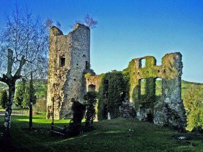 Ruines du Château de Frauenberg