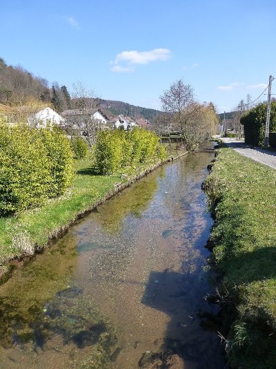 Source de la Sarre Rouge