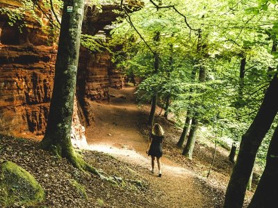 Rocher de l'Altschlossfelsen