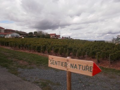 Circuit n°4 : Sentier nature : faune sauvage et insectes