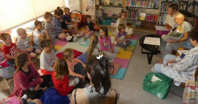 Médiathèque St-Firmin - La Pensée Sauvage