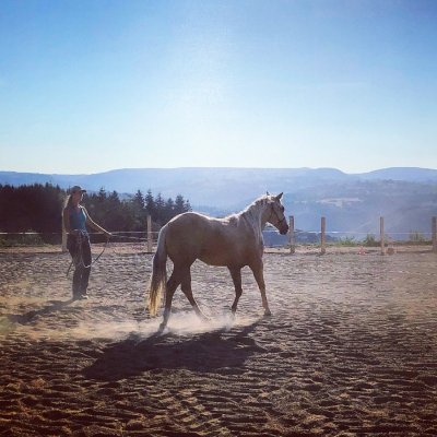 Centre équestre Les Ecuries du Roc