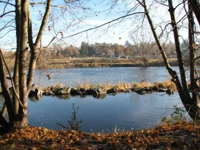 La chapelle de Bonson - A la découverte des bords de Loire