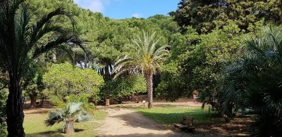 Jardin Botanique des Myrtes