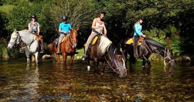 Centre équestre de Chassournet