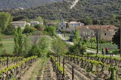 Les vestiges de la Viale