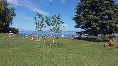 Plage du parc des cèdres