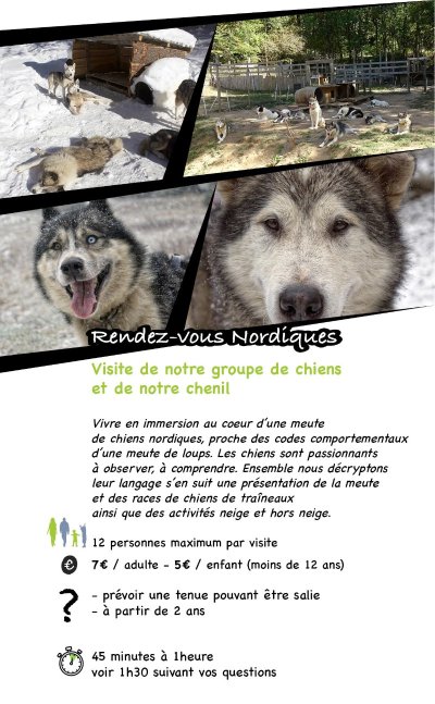 Visite de chenil avec Sensations Nordiques