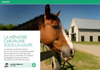 Les écuries de Chevaline