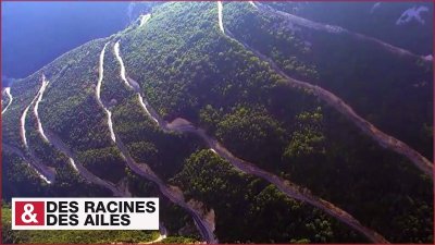 Route et belvédère du Col de Rousset
