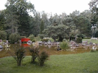 Le jardin japonais - Hôpital d'Aincourt