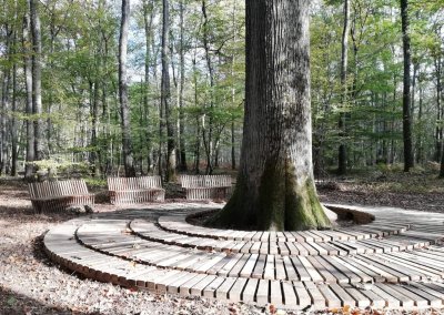 Parcours VTT Tronçais Retour aux Racines