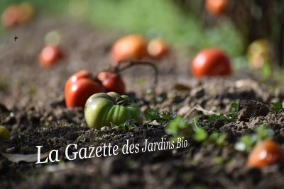 Le jardin bio « Clos Saint Eloi »