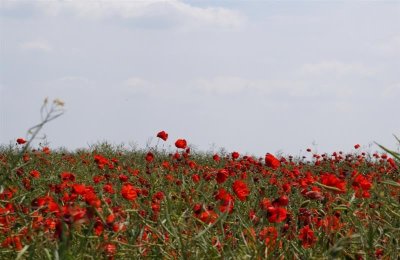 Entre Vallée du Thérain et Val du Sillet